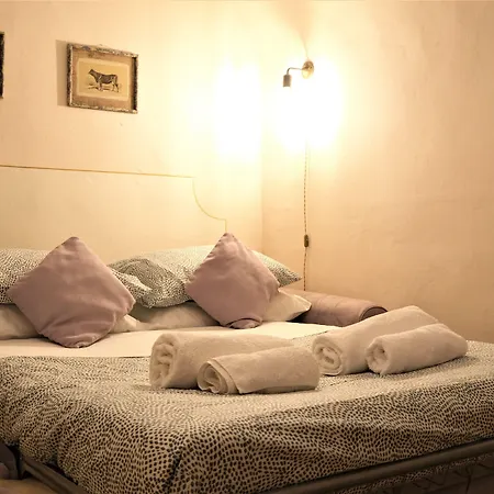 Wine Nebbiolo * Firenze